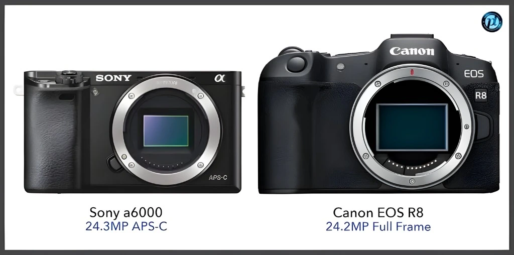 Canon EOS R8 vs APS-C Cameras