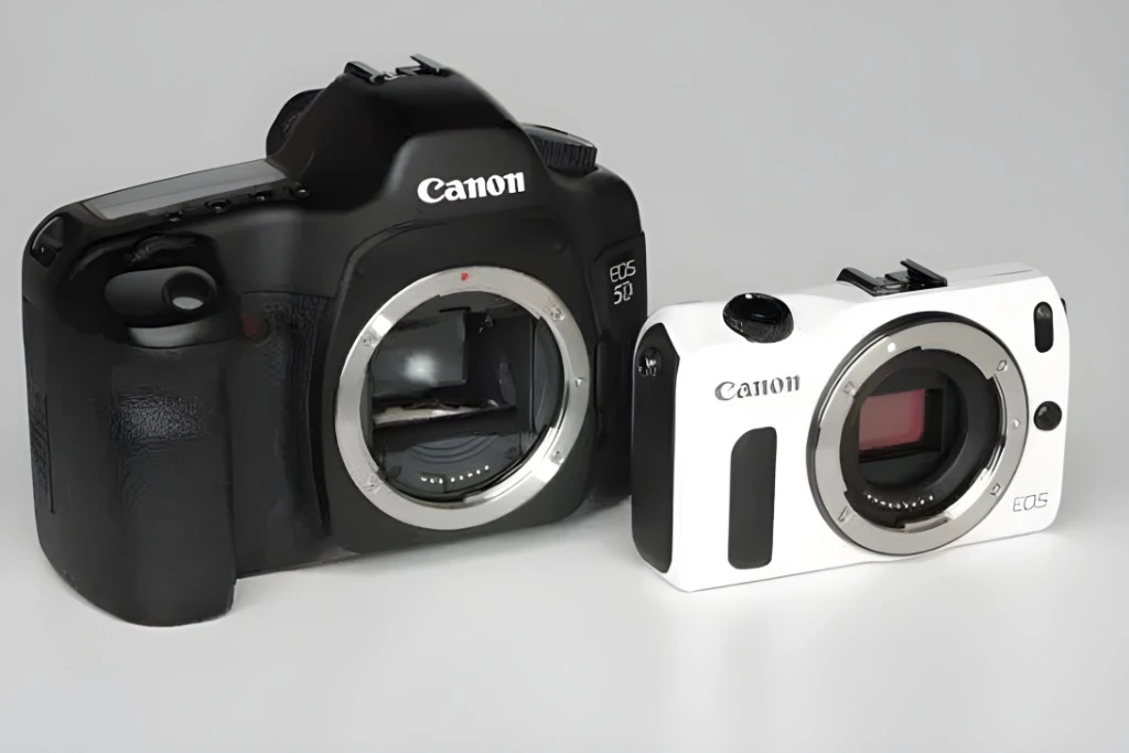 What Is a Mirrorless Camera?